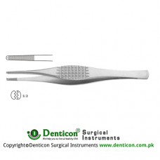 Strassburger Modell Dissecting Forceps 1 x 2 Teeth Stainless Steel, 20 cm - 8" 